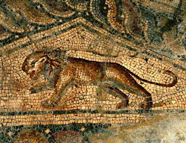 Триъгълно пано с лъв (детайл от мозайката „Ганимед и орела") - opus vermiculatum, opus tesselatum