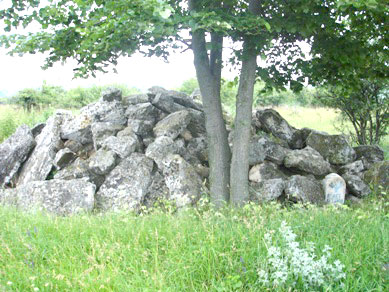 Надгробни камъни от турско гробище в с. Фелдфебел Дянково