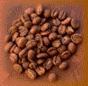 Плодът на кафееното дърво