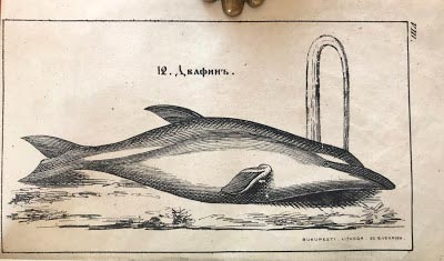 Илюстрация "12. Делфин" от "Буквар болгарский с различни поучения", Букурещ, 1847 г. Литографии Луи Г. Венрих, Букурещ